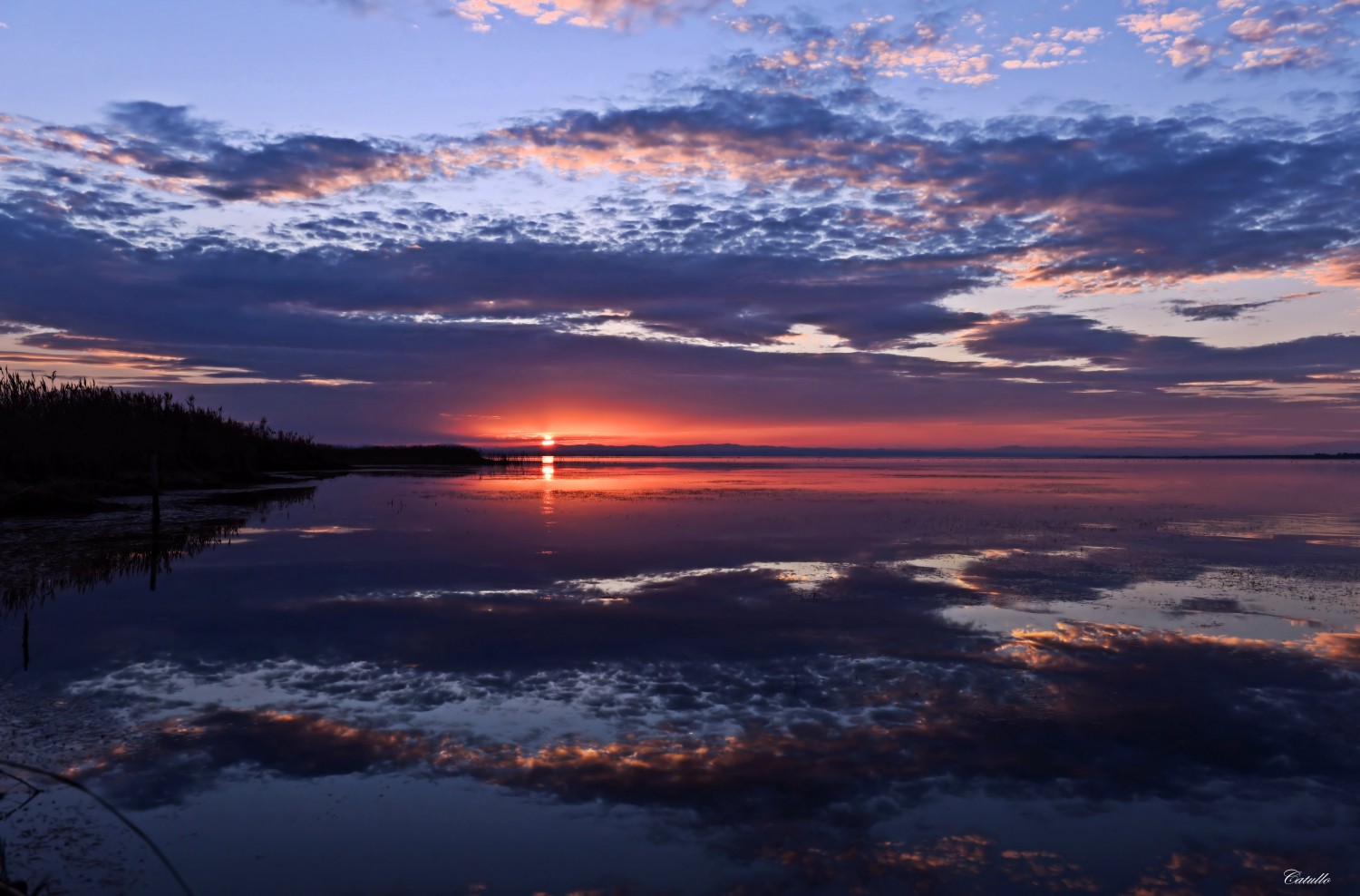 DSC_1941....immagine speculare... luigideluca44 1749430