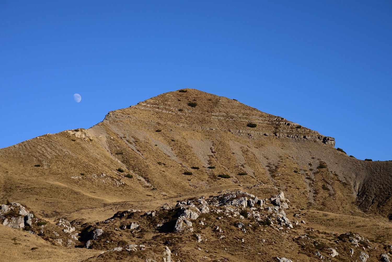 Monte Sodadura maxlavezzi 2639662