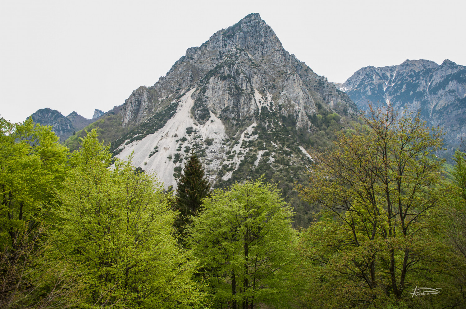 _DSC6165 roberto p. 2666337